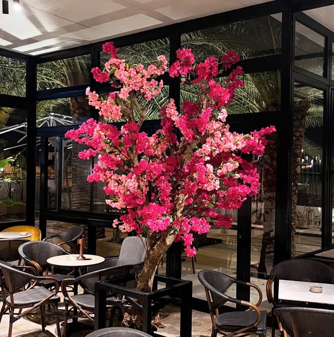 The Garden